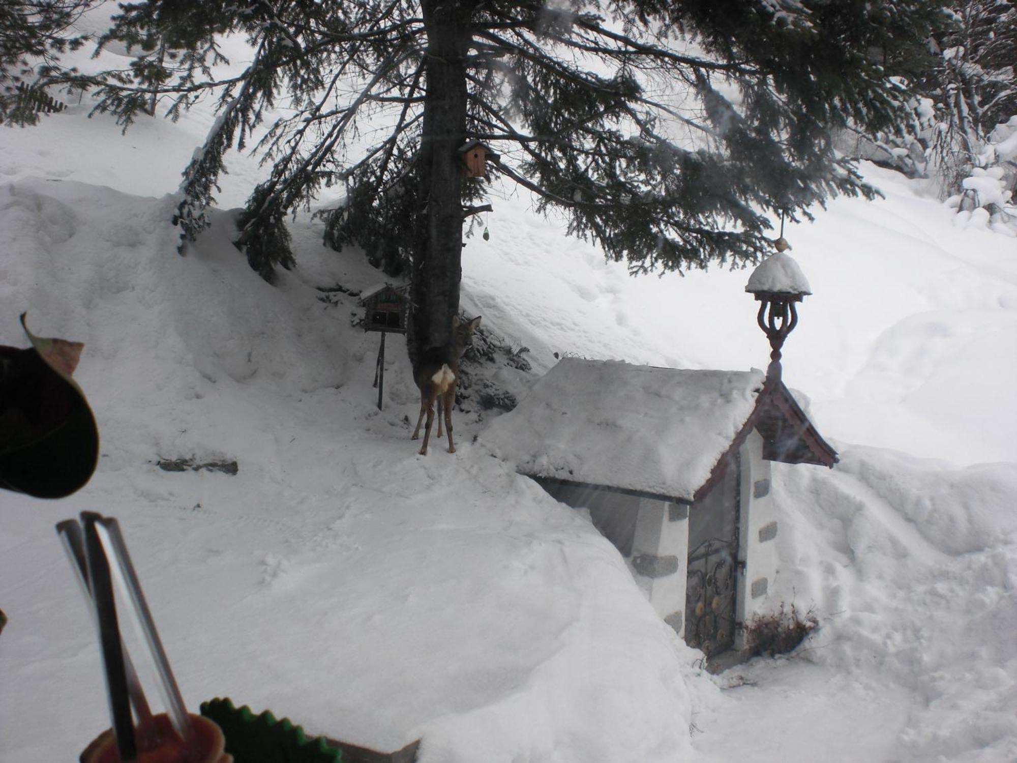 Hotel Haus Waldheim Sankt Leonhard im Pitztal Exteriér fotografie